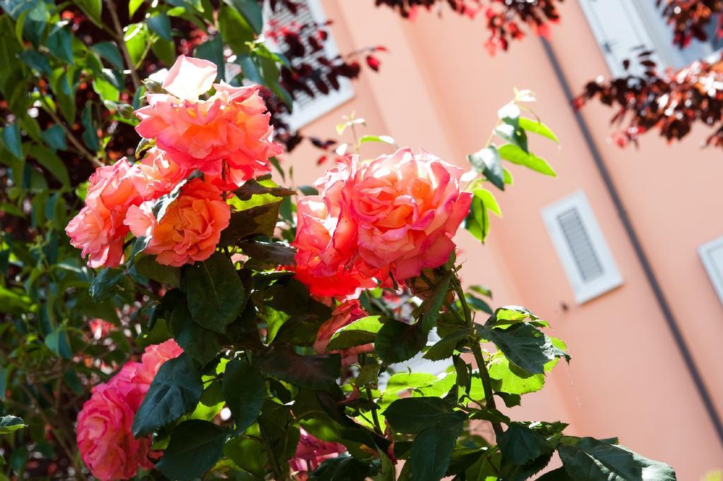 Hotel La Toscana Arezzo Buitenkant foto